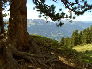 Kreuzjoch
