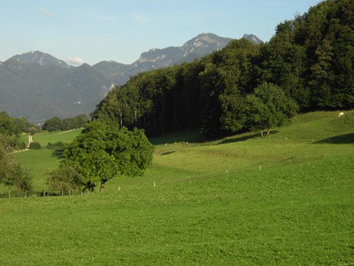 Landschaftsblick