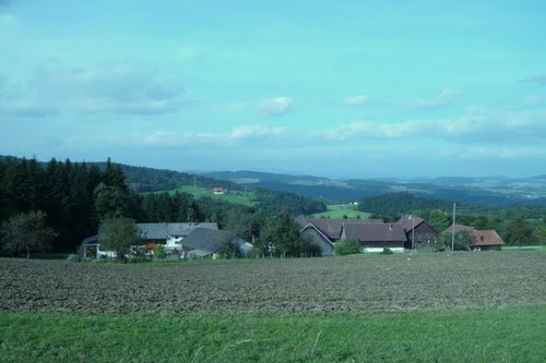 Blick auf Reiting