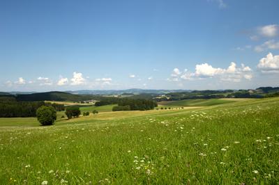 Blick ins M\u00fchlviertel