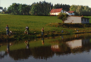 Jausenstation Tomandl