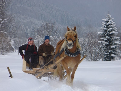 Schlittenfahrt im Schnee
