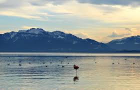 Chiemsee mit Blick auf die Berge