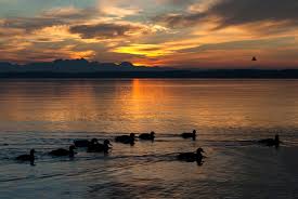 Chiemsee bei Abenddämmerung