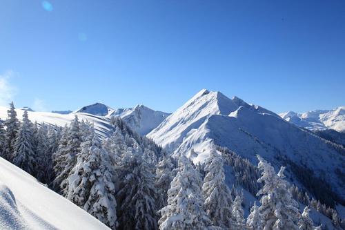 Aussicht auf den Frauenkogel