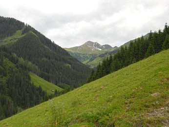 Hochkogel