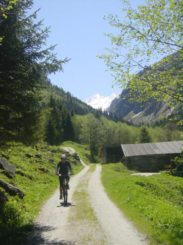 Im Hintergrund thront der Großvenediger