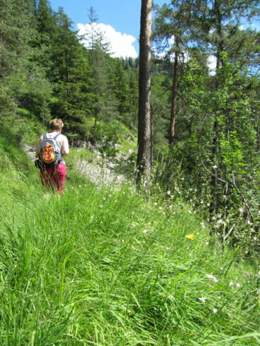 Grasenbergweg