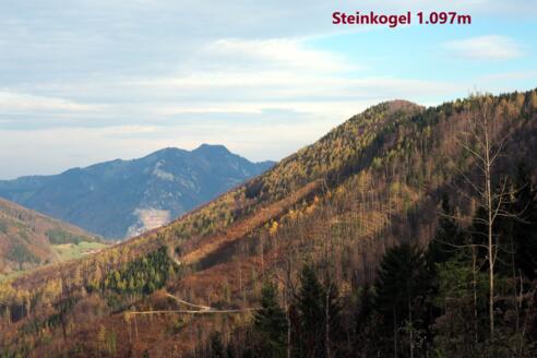 Steinkogel Hauptgipfel "neu Steinmüllerkogel" mit neuem Kreuz 2023.