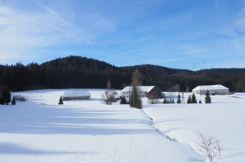 Dürnau im Winter ~800m