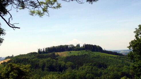 Gronall 432m