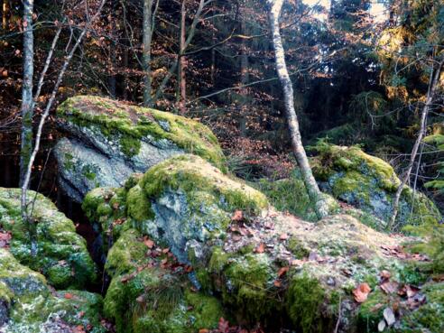 Felsformation "Bärenlucke" 738m