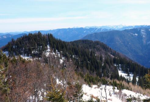 Ennsberg 1373m, vom Hühnerkogelabstieg.