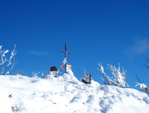 Gipfelkreuz Tannschwärze 1.533m