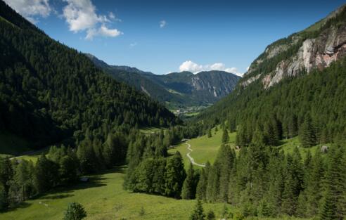 Blick zurück auf Brand