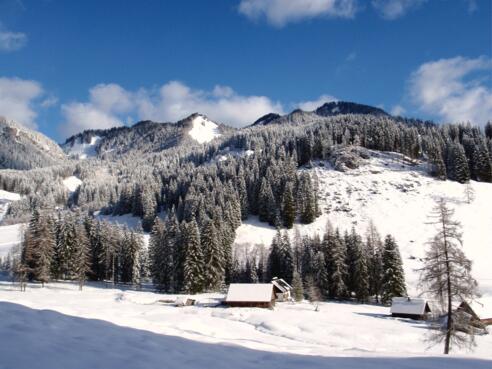 Hintersteiner Alm 1025m