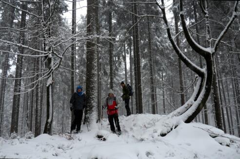 Haubenberg 1036m