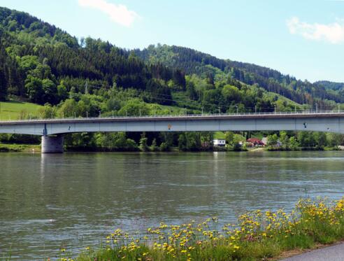 Donaubrücke Niederranna (295m)