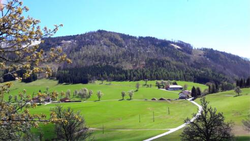 Hirschwaldstein 1.095m