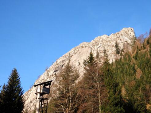 Spitzelstein, Kammhochpunkt ~1170m
