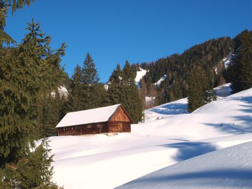 Hasneralm 1277m