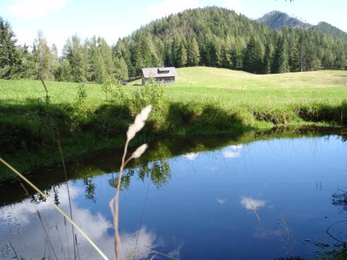 Tamberg Nordgipfel 1188m hinter der Jagdhütte