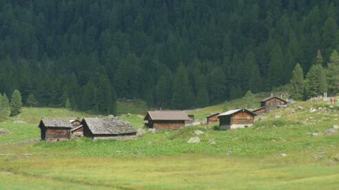 Die Vordere Trojeralm