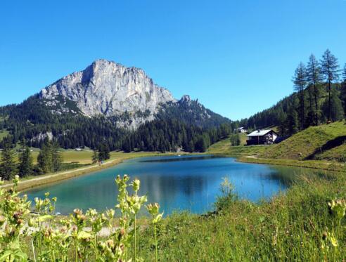 See (1365m) beim Linzerhaus