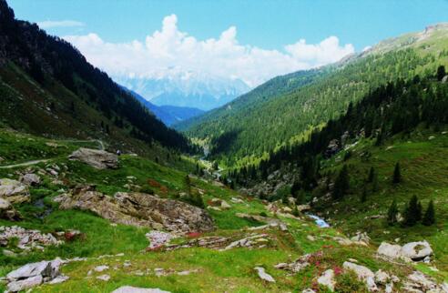 Almlandschaft um die Steinkasernalm