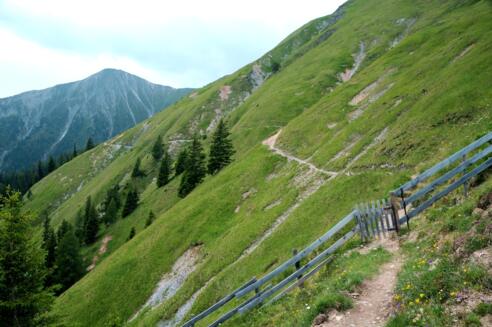 Trujensteig