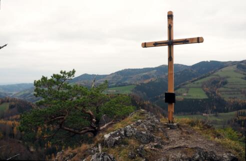 Beilstein 823m