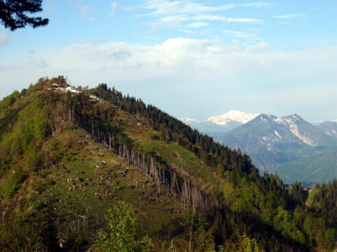 Kl.Almkogel 1460m