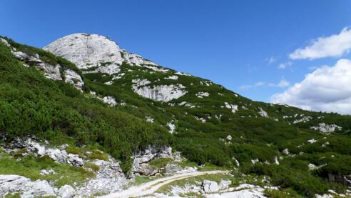 Niederer Krippenstein