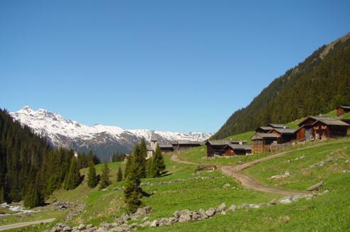 Valschaviel Maisäß