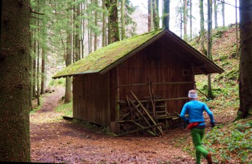 Jagdhütte 1060m, Foto vom Herbst!