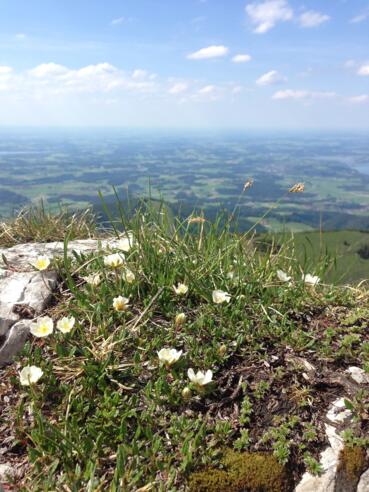 Aussicht