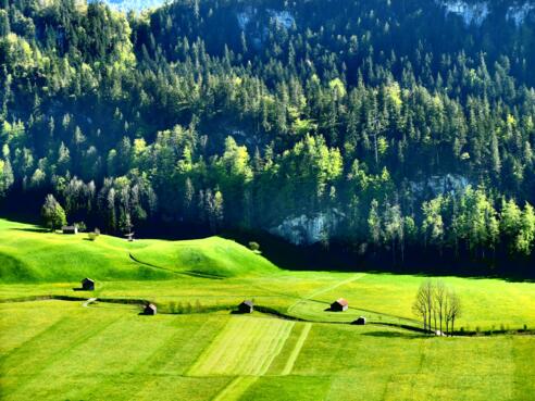 Wanderweg entlang am Grebenbach