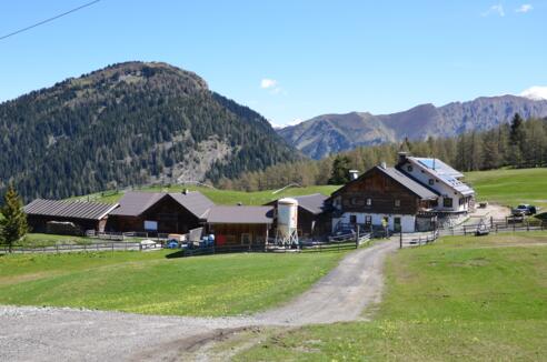 Sattelbergalm