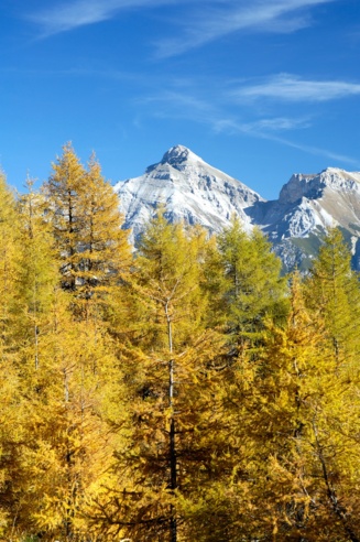 Herbststimmung im Stubaital