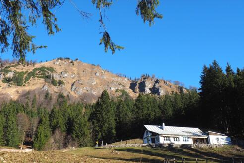 Stallburgalm 1032m mit Burgspitz