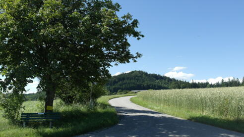 Toberspitzweg