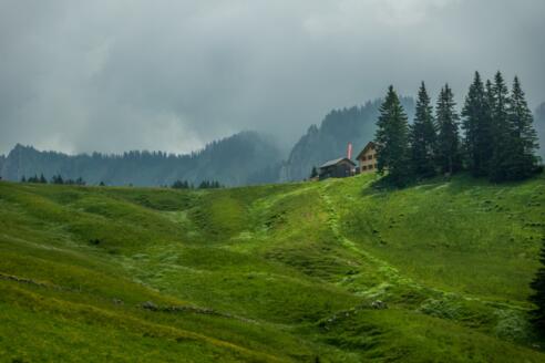 Blick auf die Wildmoosalpe