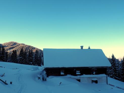 Inselbacher Alm ~1.130m