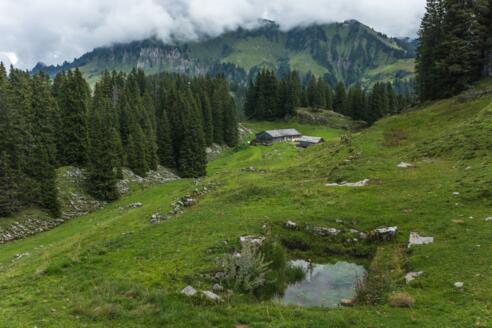 Blick auf Obere Sattelalpe