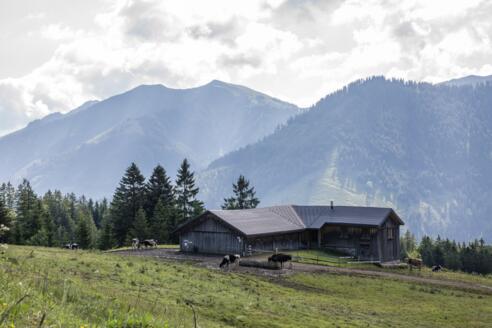 Schneewaldalpe, Dornbirn-Ebnit
