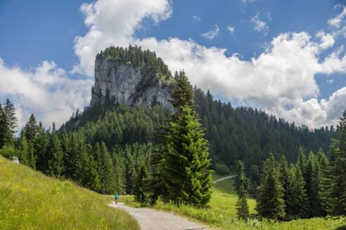 Blick auf "Schöner Mann"
