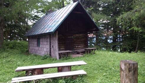 Parnstaller Alm 1165m