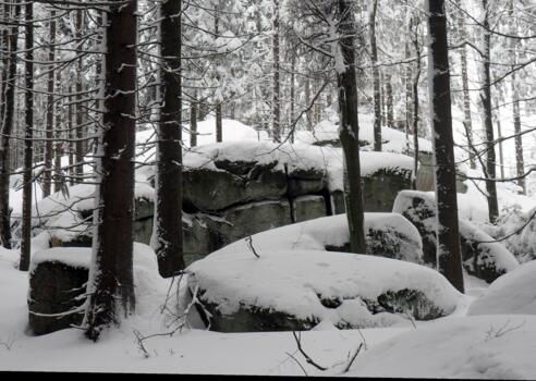Pilzstein ~980m im Winter