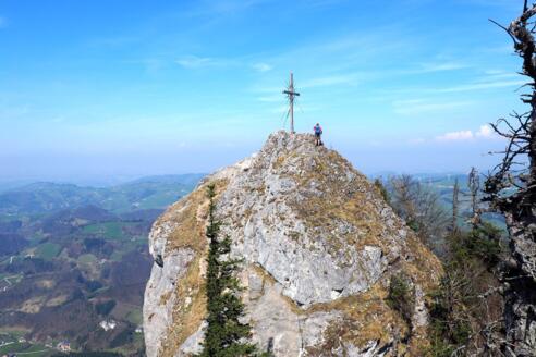 Steinerner Jäger 1185m vom Gratkamm gesehen