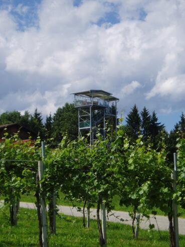 360° Panoramaturm Weingut Garber